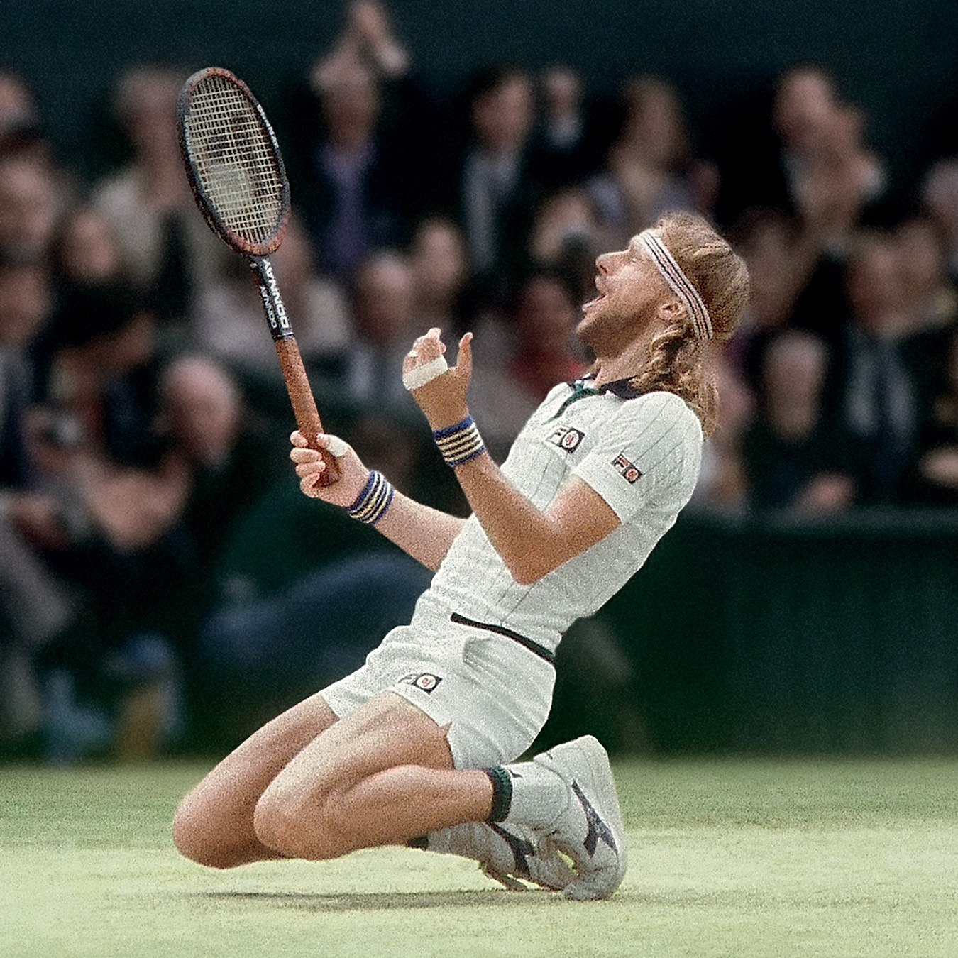 Björn Borg, Wimbledon Champion